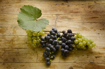 Ekologiskt vin Vino biologico Organic wine Wino ekologiczne - obrazy, fototapety, plakaty