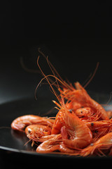 Crevettes-6501