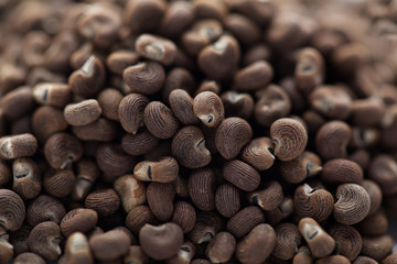 Abelmoschus moschatus (ambrette) seed