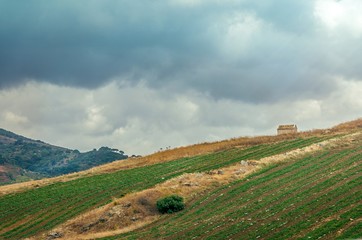 Fototapeta premium Paysage sicilien.