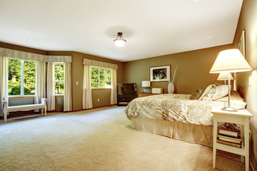 Spacious warm bedroom with brown walls