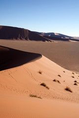 Fototapeta na wymiar Duna in Namibia
