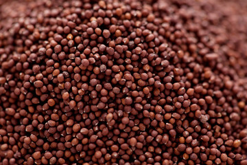 Small indian basil seed