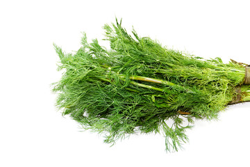 Frischer Grüner Dill