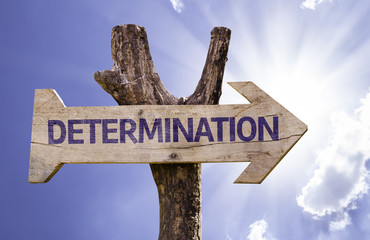 Determination wooden sign on a beautiful day