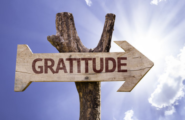 Gratitude wooden sign on a beautiful day