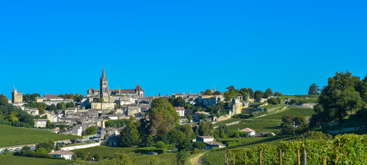 Obraz premium Saint-Emilion-Vineyard landscape-Vineyard south west of France