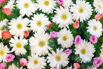 Obraz premium Beautiful flower arrangement