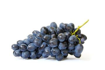  branch of grapes