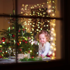 Fototapeta na wymiar Little girl at Christmas dinner