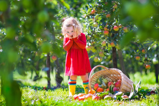 Little girl in an apple garden - Powered by Adobe