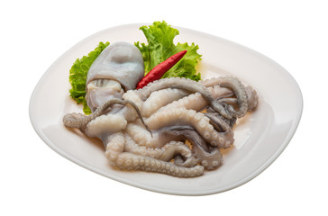 Raw octopus