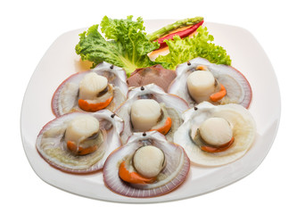 Raw fresh scallop