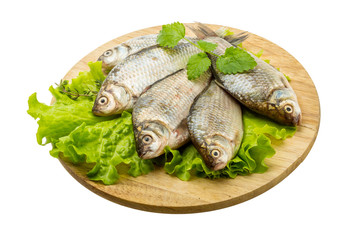 Crucian fish