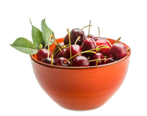 Gean - cherry
