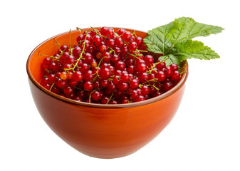 Red currant
