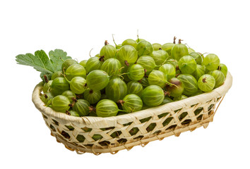 Gooseberry
