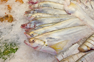 fresh fish on ice at the market in Thailand