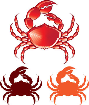 Jumbo Crab vector