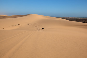 Dune di sabbia nel deserto della Namibia