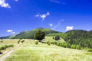 Fototapeta na wymiar evening mountain plateau landscape (Carpathian, Ukraine)
