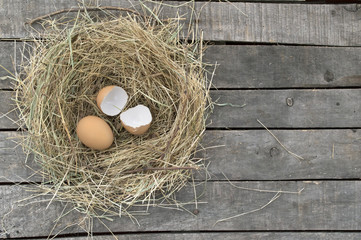 Egg and broken eggshell in nest on gray background