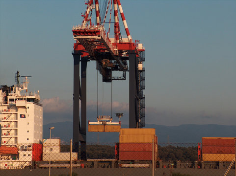 Container seaport Operation