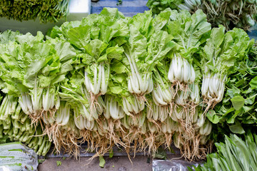 stack of vegetables green pakchoi in market