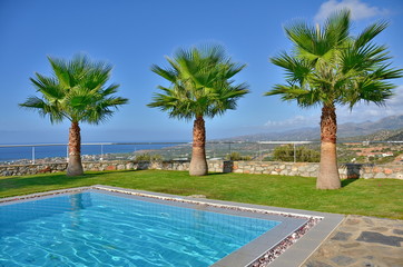 Fototapeta premium Palm Trees by the pool