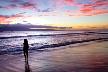 Hawaiian palm tree silhouette sunset