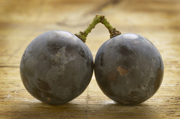 Enología Enologia Oenology Œnologie Enology Önologie Энология