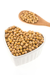 Soybean isolated on white background