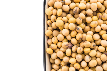 Soybean isolated on white background