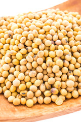 Soybean isolated on white background