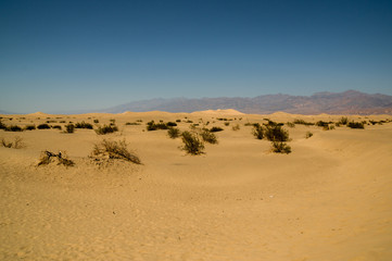 Fototapeta na wymiar desert in death valley national park