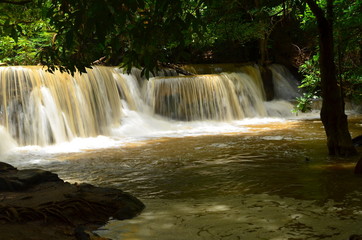 Natural Waterfalls in Rain Forests