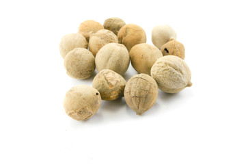 terminalia bellirica on white background