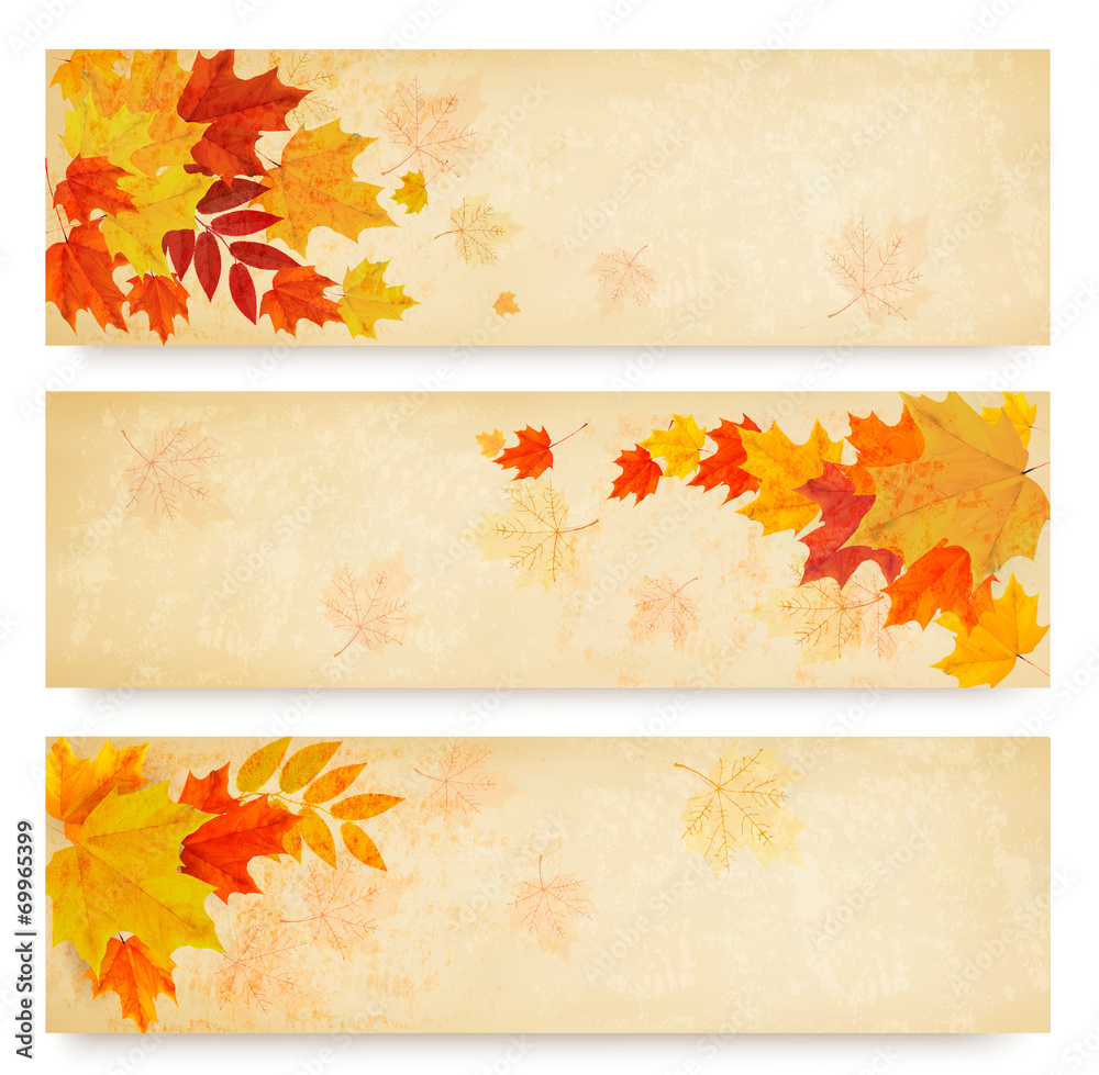 Poster three abstract autumn banners with color leaves. vector