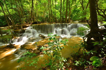 Natural Waterfalls in Rain Forests