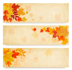 Naklejka na ściany i meble Three abstract autumn banners with color leaves. Vector