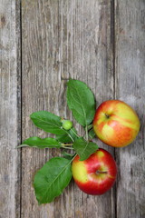 Fresh apples