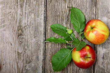Fresh apples