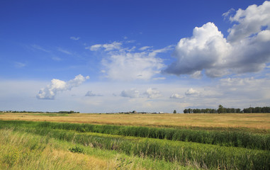 Fototapeta na wymiar Clouds over fields. Beautiful summer landscape.