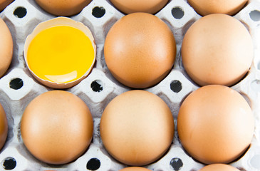 Brown eggs in detail on a tray