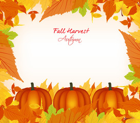 fall harvest background