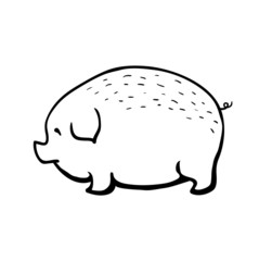 pig, vector sketch illustration