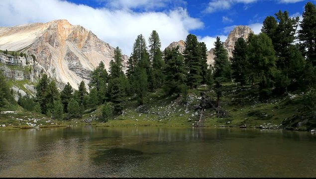 Tarn