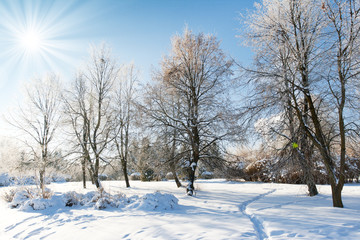 winter landscape