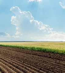 agricultural fields and cloud in blue sky