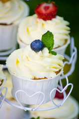 Cupcake with blueberry